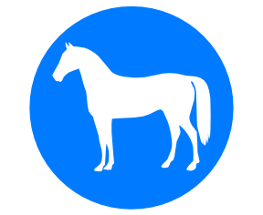 White horse footcare logo